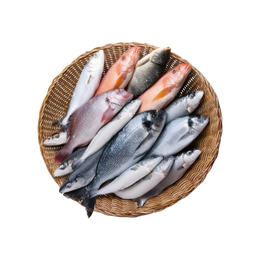 Fish & Seafood
