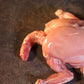 Chicken Whole With Skin