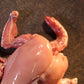 Chicken Whole With Skin